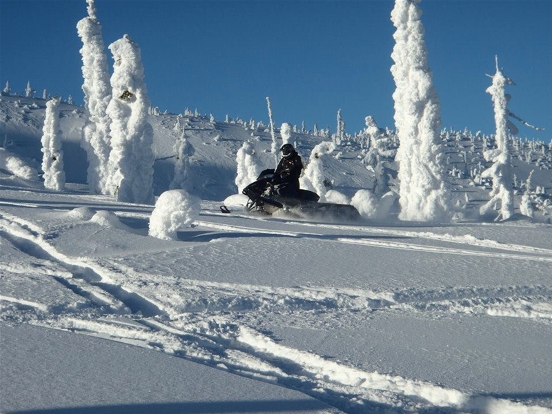 Tracking some fresh snow 