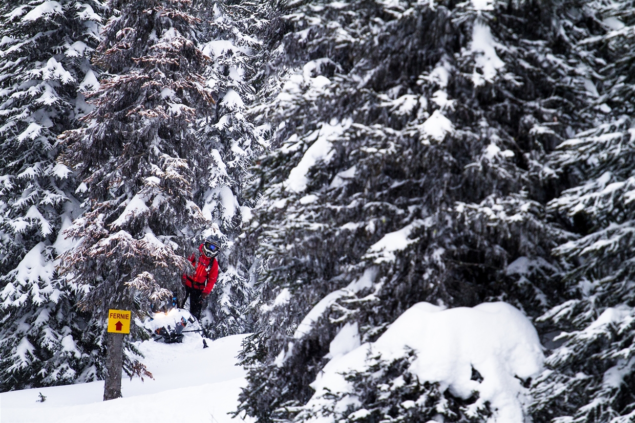 Fernie Snowmobiling