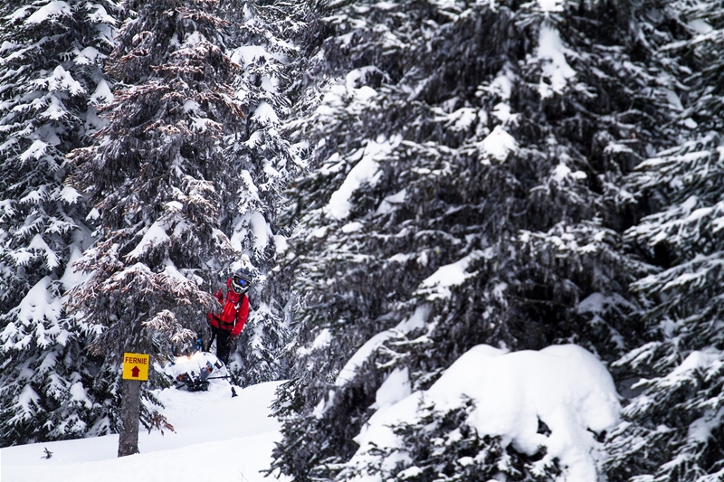 Fernie Snowmobiling with Weir Boondocking