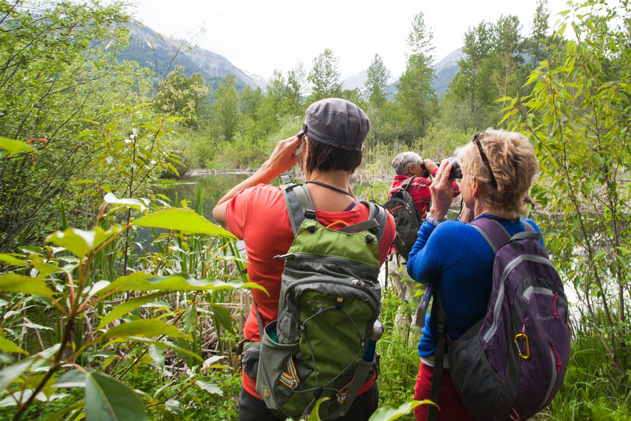 Birding & Wildlife Viewing with Wild Nature Tours