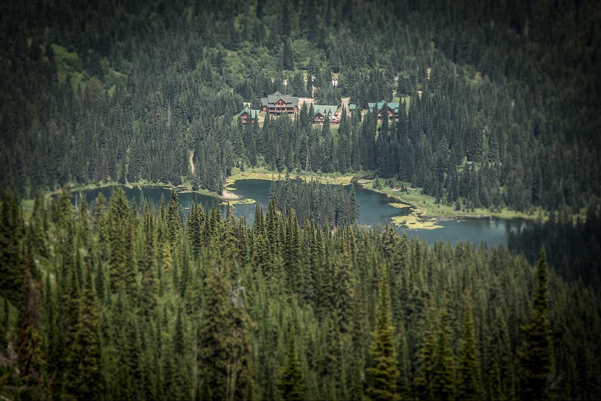 Stand Up Paddle Boarding