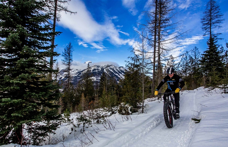 Fatbiking in Fernie