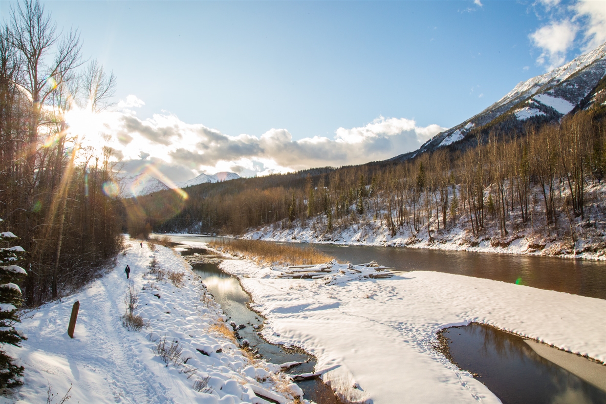 Winter walk on the Fernie Town Trail