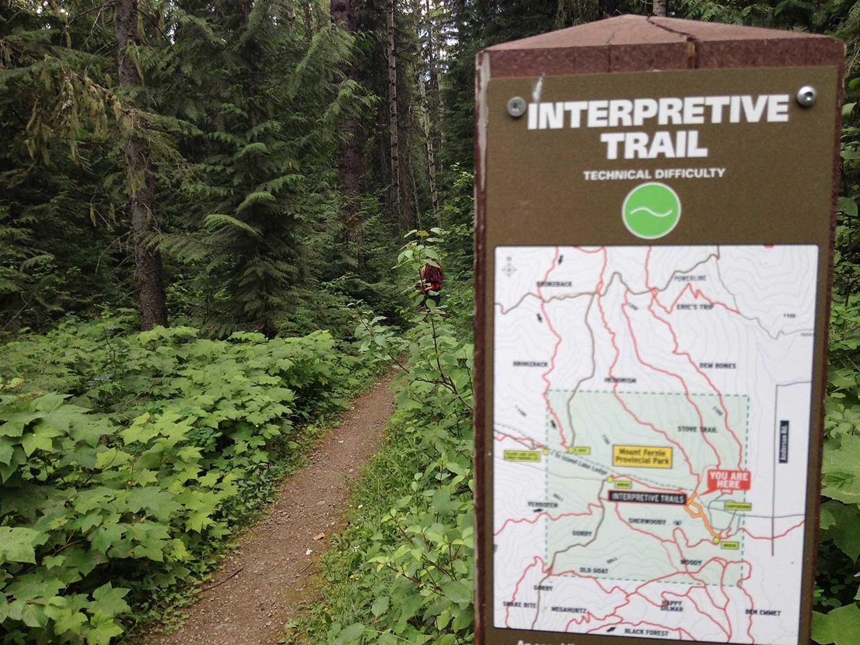 Hiking & biking trails in Mt Fernie Provincial Park