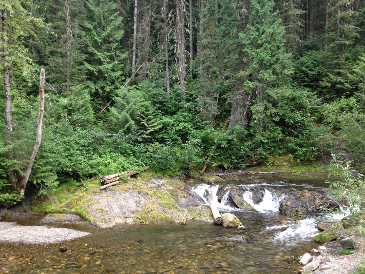 Hiking & biking trails in Mt Fernie Provincial Park